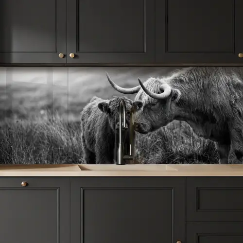 Schotse hooglander - Kalf - Zwart - Wit keuken achterwand 2 middel -sfeer1
