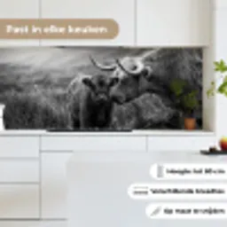 Schotse hooglander - Kalf - Zwart - Wit keuken achterwand 2 middel -sfeer4_NL