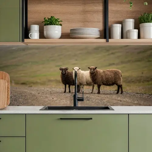 Schapen - Bruin - Wit - Grindpad keuken achterwand 2 middel -sfeer3