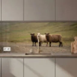 Schapen - Bruin - Wit - Grindpad keuken achterwand 2 middel zz_3dshopping
