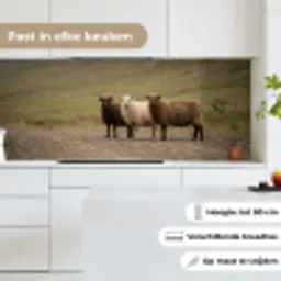 Schapen - Bruin - Wit - Grindpad keuken achterwand 2 middel -sfeer4_NL