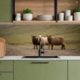 Schapen - Bruin - Wit - Grindpad keuken achterwand 2 middel -sfeer3