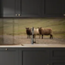 Schapen - Bruin - Wit - Grindpad keuken achterwand 2 middel -sfeer1