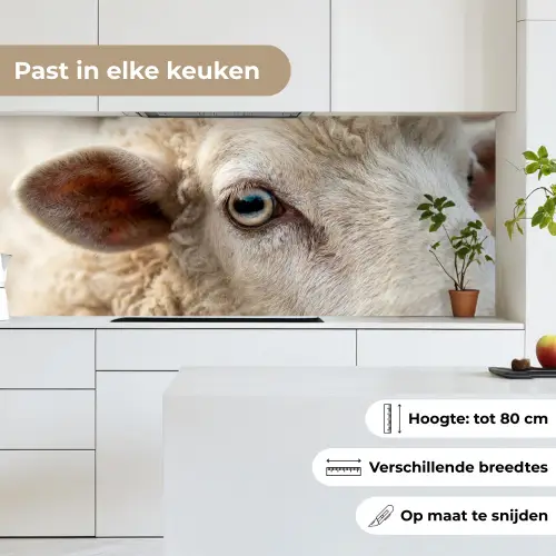 Schaap - Oog - Wit keuken achterwand 2 middel -sfeer4_NL
