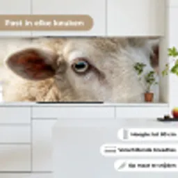Schaap - Oog - Wit keuken achterwand 2 middel -sfeer4_NL