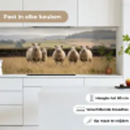 Schapen - Weidenlandschap - Heuvels keuken achterwand 2 middel -sfeer4_NL