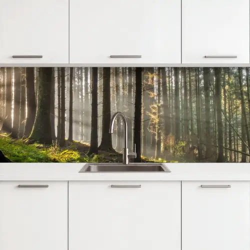 Zon - Takken - Bomen - Bos - Natuur keuken achterwand 2 groot -3d