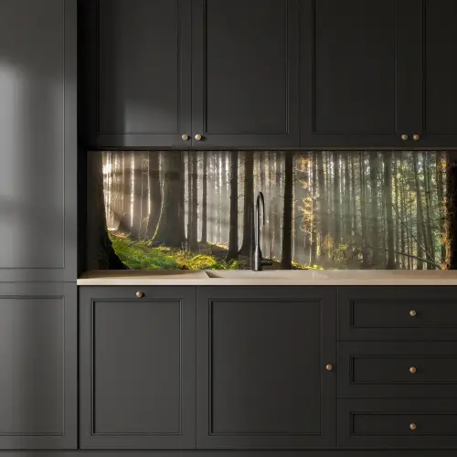 Zon - Takken - Bomen - Bos - Natuur keuken achterwand 2 groot -sfeer1
