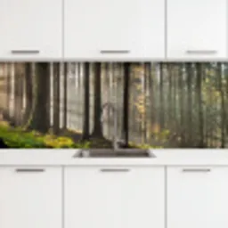 Zon - Takken - Bomen - Bos - Natuur keuken achterwand 2 groot -3d