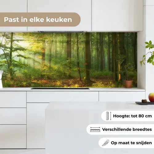Zon - Bos - Bomen - Natuur - Herfst keuken achterwand 2 middel -sfeer4_NL