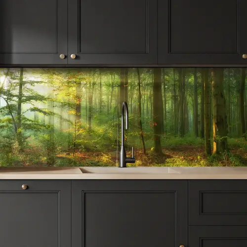 Zon - Bos - Bomen - Natuur - Herfst keuken achterwand 2 middel -sfeer1