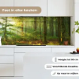 Zon - Bos - Bomen - Natuur - Herfst keuken achterwand 2 middel -sfeer4_NL