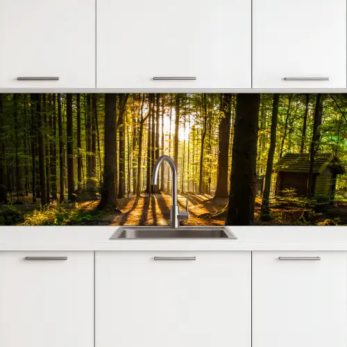 Zon - Bomen - Bos - Landschap - Natuur keuken achterwand 2 groot -3d