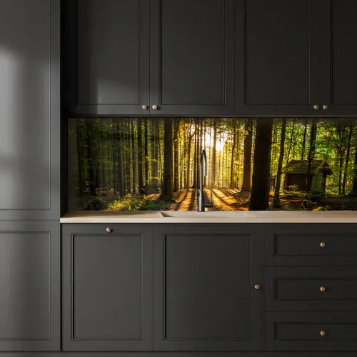 Zon - Bomen - Bos - Landschap - Natuur keuken achterwand 2 groot -sfeer1