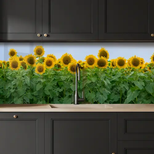 Zonnebloemen - Geel - Natuur keuken achterwand 2 middel -sfeer1