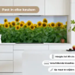 Zonnebloemen - Geel - Natuur keuken achterwand 2 middel -sfeer4_NL