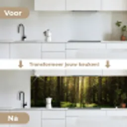 Bomen - Bos - Mos - Planten - Zon - Natuur keuken achterwand 2 groot -voor-na_NL