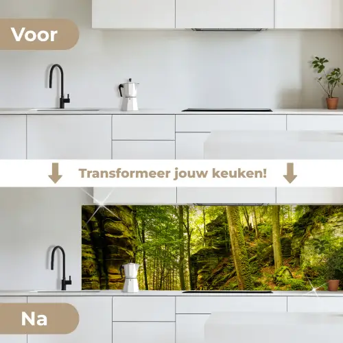 Bomen - Steen - Bos - Natuur - Planten keuken achterwand 2 groot -voor-na_NL