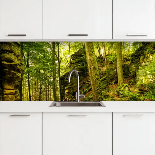 Bomen - Steen - Bos - Natuur - Planten keuken achterwand 2 groot -3d