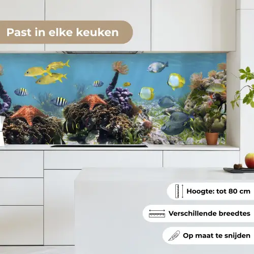 Water - Koralen - Vissen - Lichtinval keuken achterwand 2 middel -sfeer4_NL