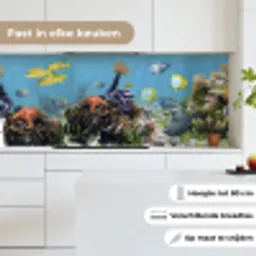 Water - Koralen - Vissen - Lichtinval keuken achterwand 2 middel -sfeer4_NL
