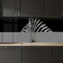 Zebra - Dier - Zwart keuken achterwand 2 middel -sfeer1