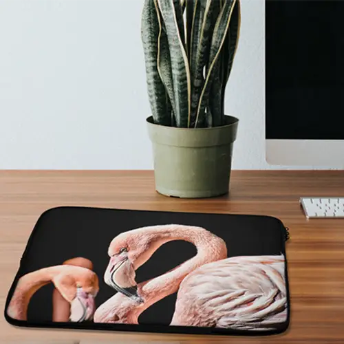 laptophoes-sfeerbeeld-1.png