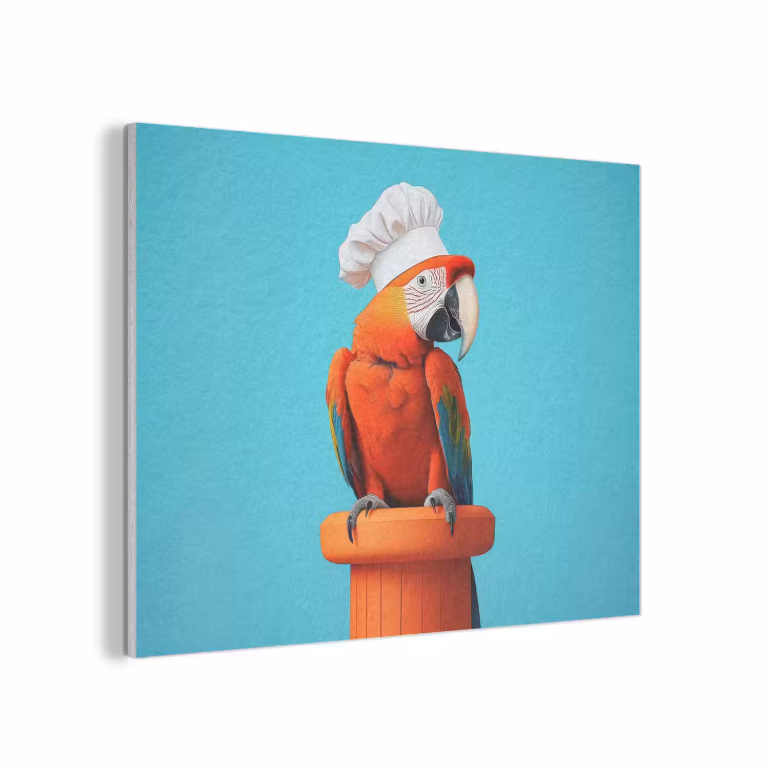 Ara - Koksmuts - Sokkel - Grappig PET vilt klein -3d
