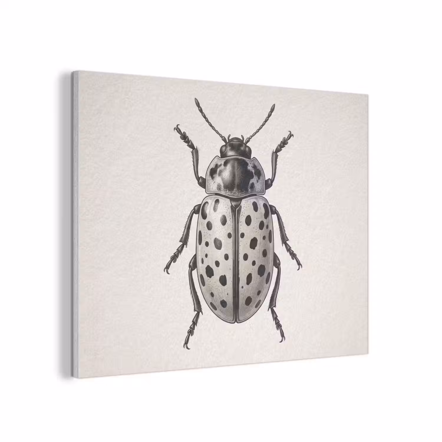 Kever - Insect - Vintage PET vilt klein -3d