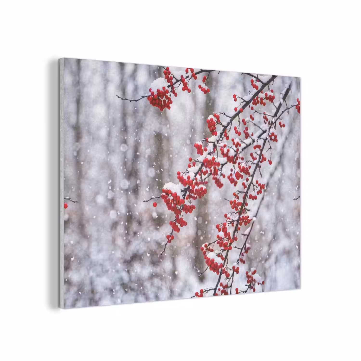 Bessen - Takken - Sneeuw - Winter - Kleurrijk PET vilt klein -3d