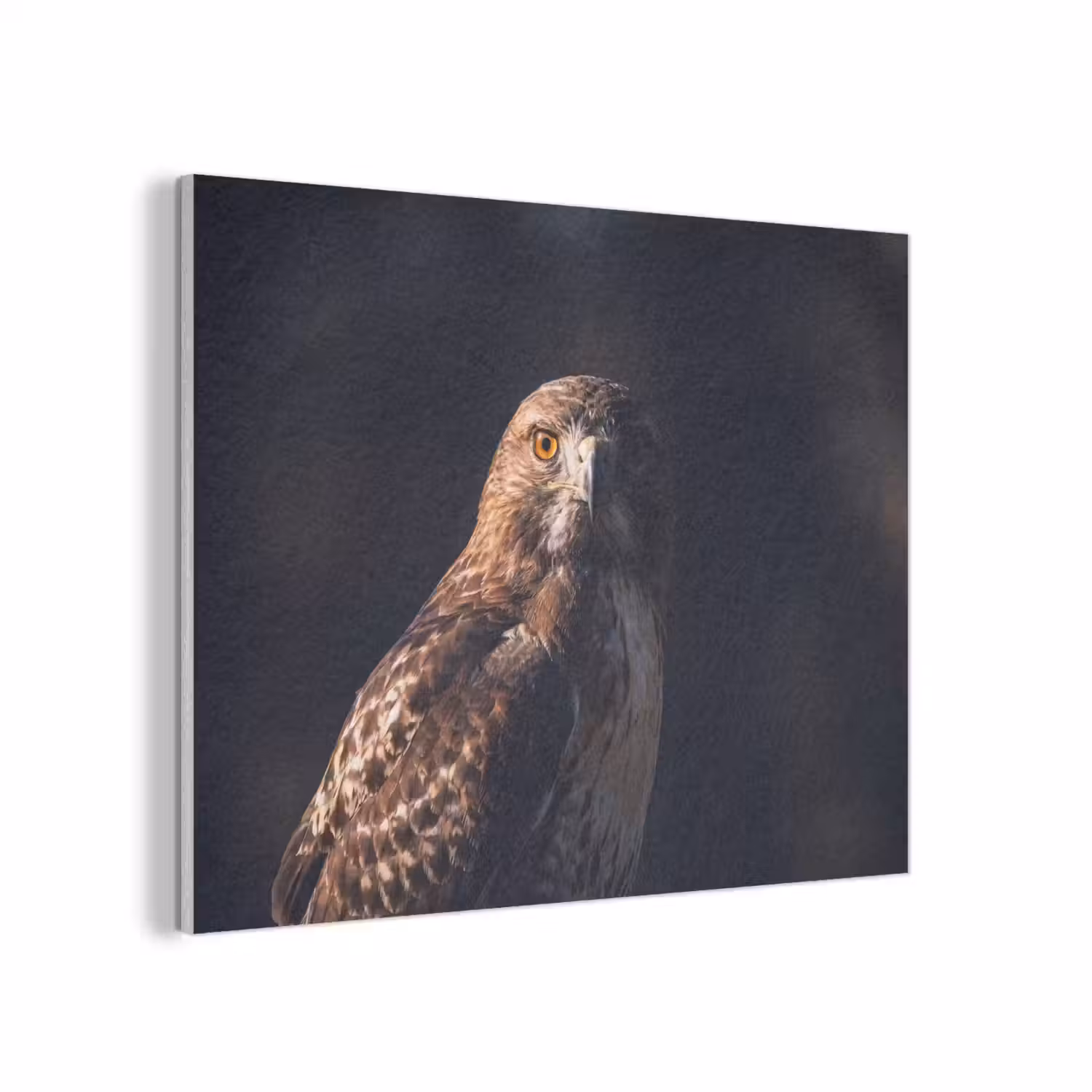 Roofvogel - Buizerd - Bruin PET vilt klein -3d
