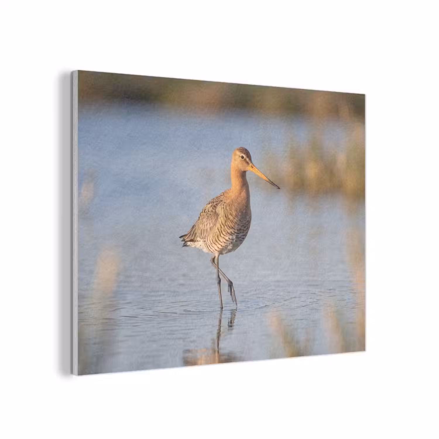 Vogel - Steltloper - Water - Natuur PET vilt klein -3d