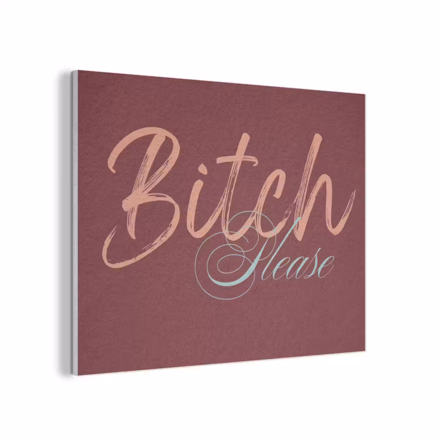 Bitch please - Rood - Blauw PET vilt klein -3d
