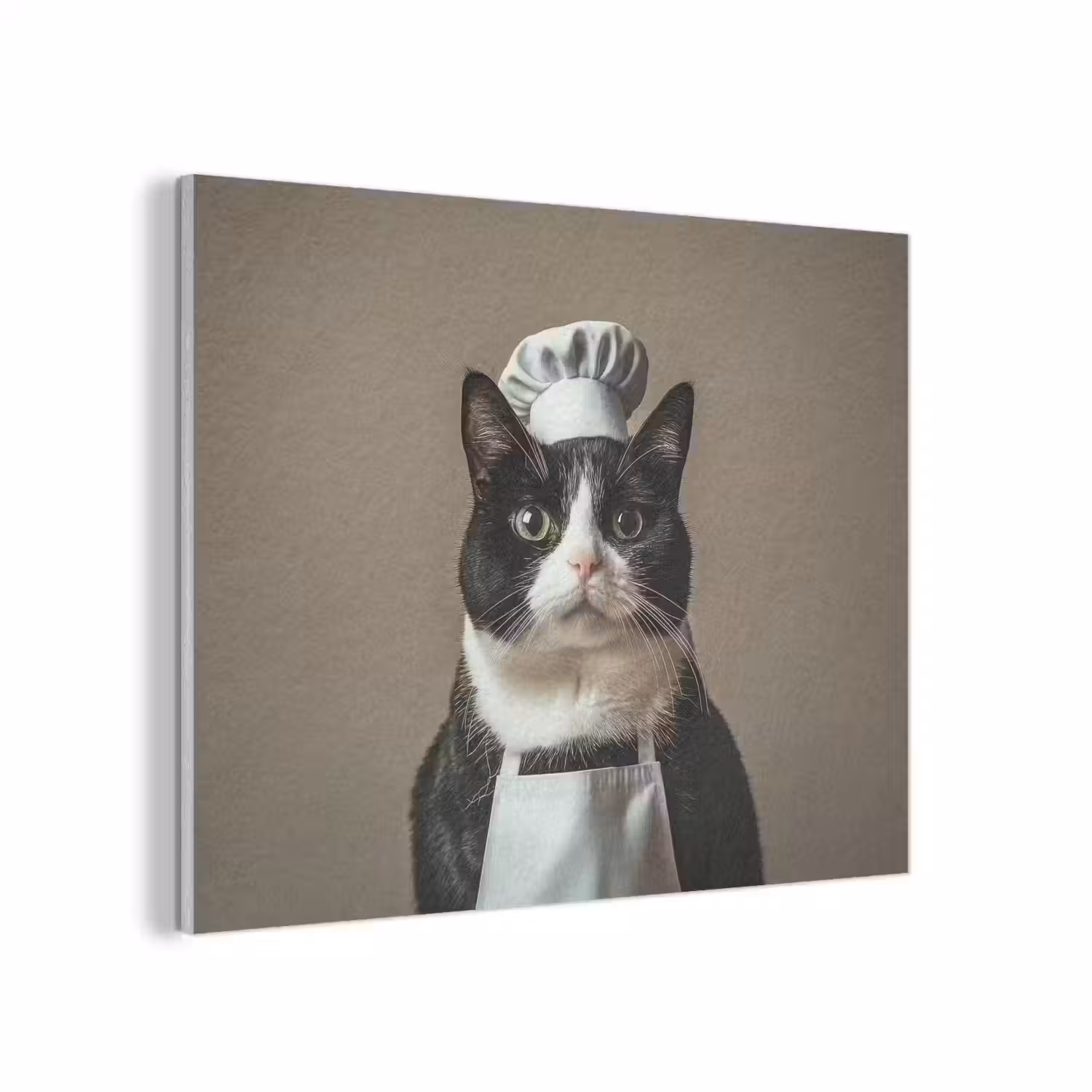 Kat - Kokskleding - Zwart - Wit PET vilt klein -3d