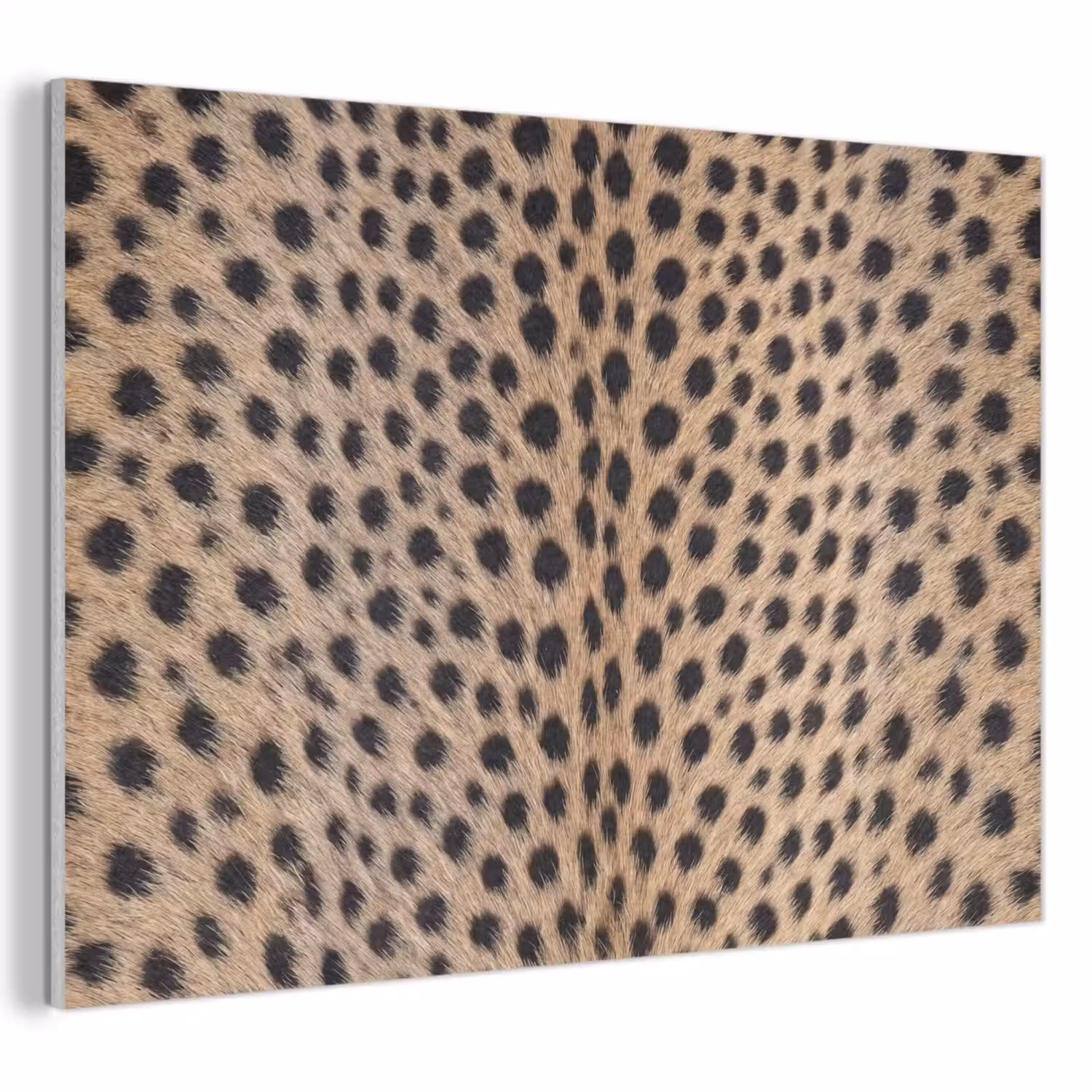 Vacht - Jachtluipaard - Zwart - Wit PET vilt klein -3d