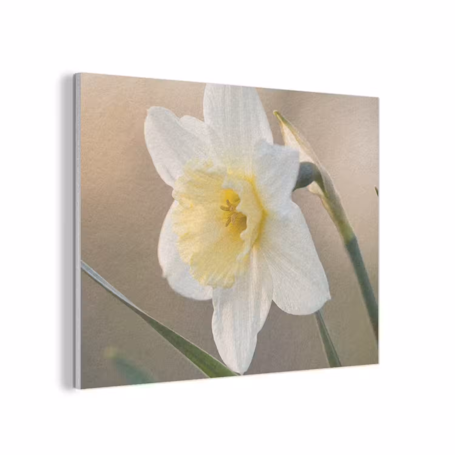 Narcis - Bloem - Minimalistisch PET vilt klein -3d