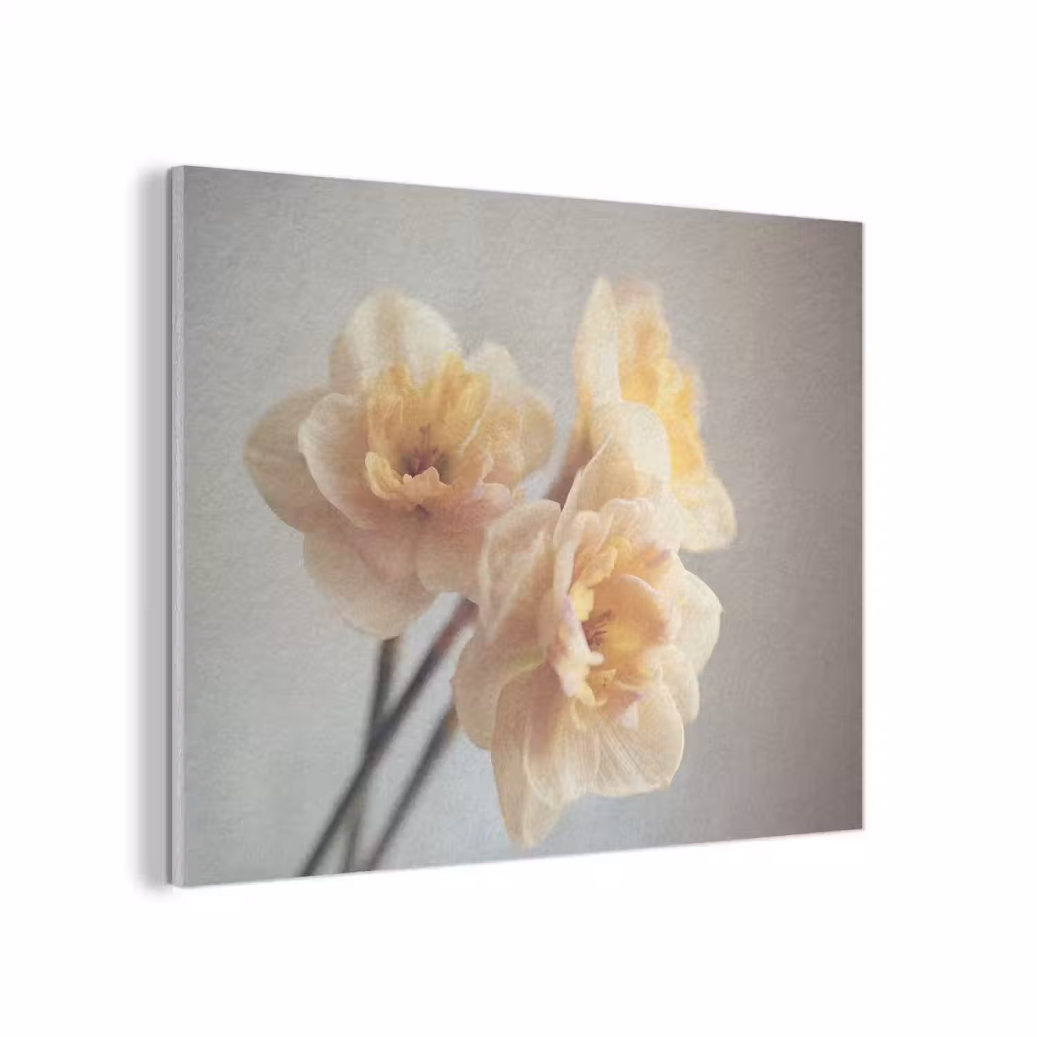 Narcissen - Geel - Bloemblaadjes PET vilt klein -3d