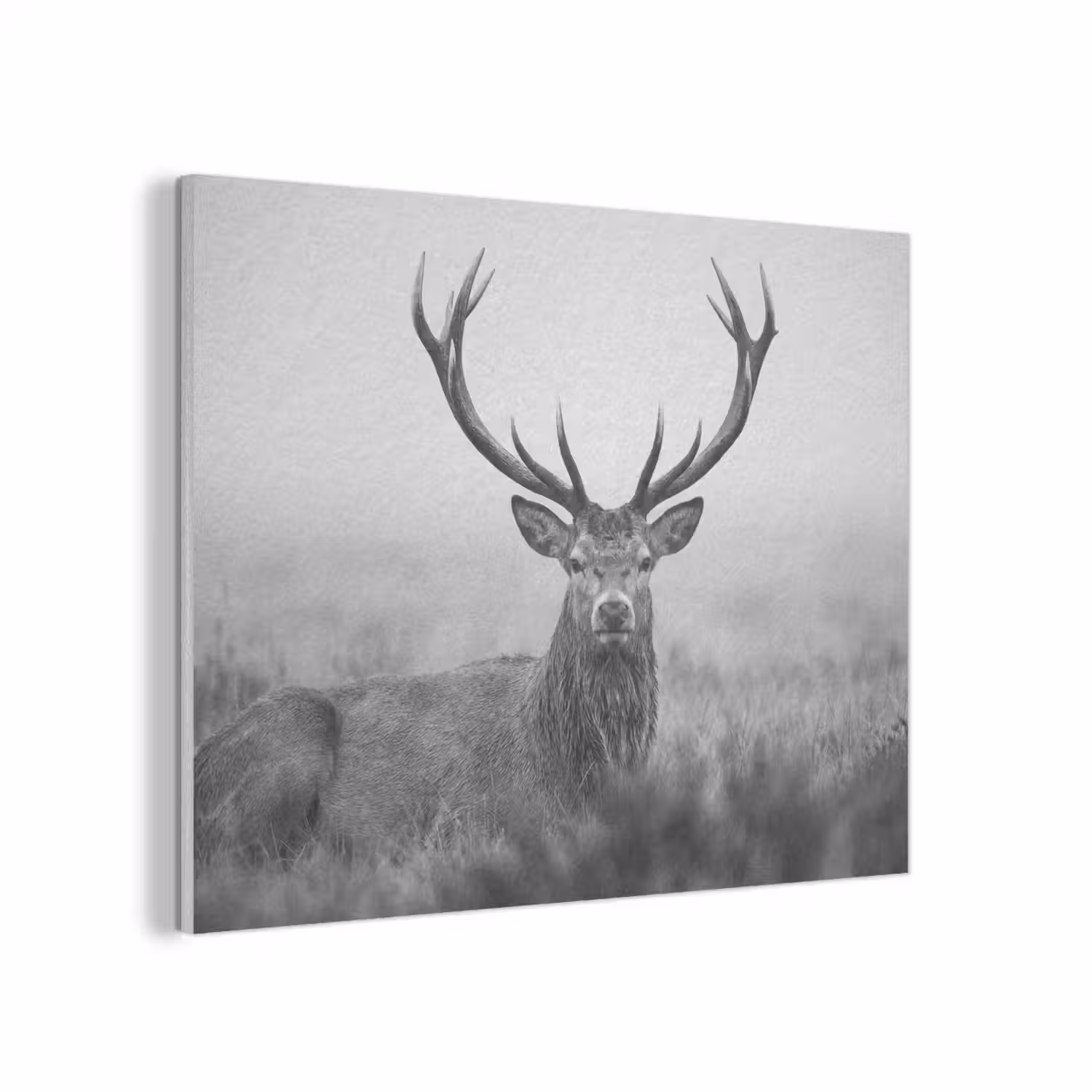 Hert - Mistig - Zwart - Wit PET vilt klein -3d