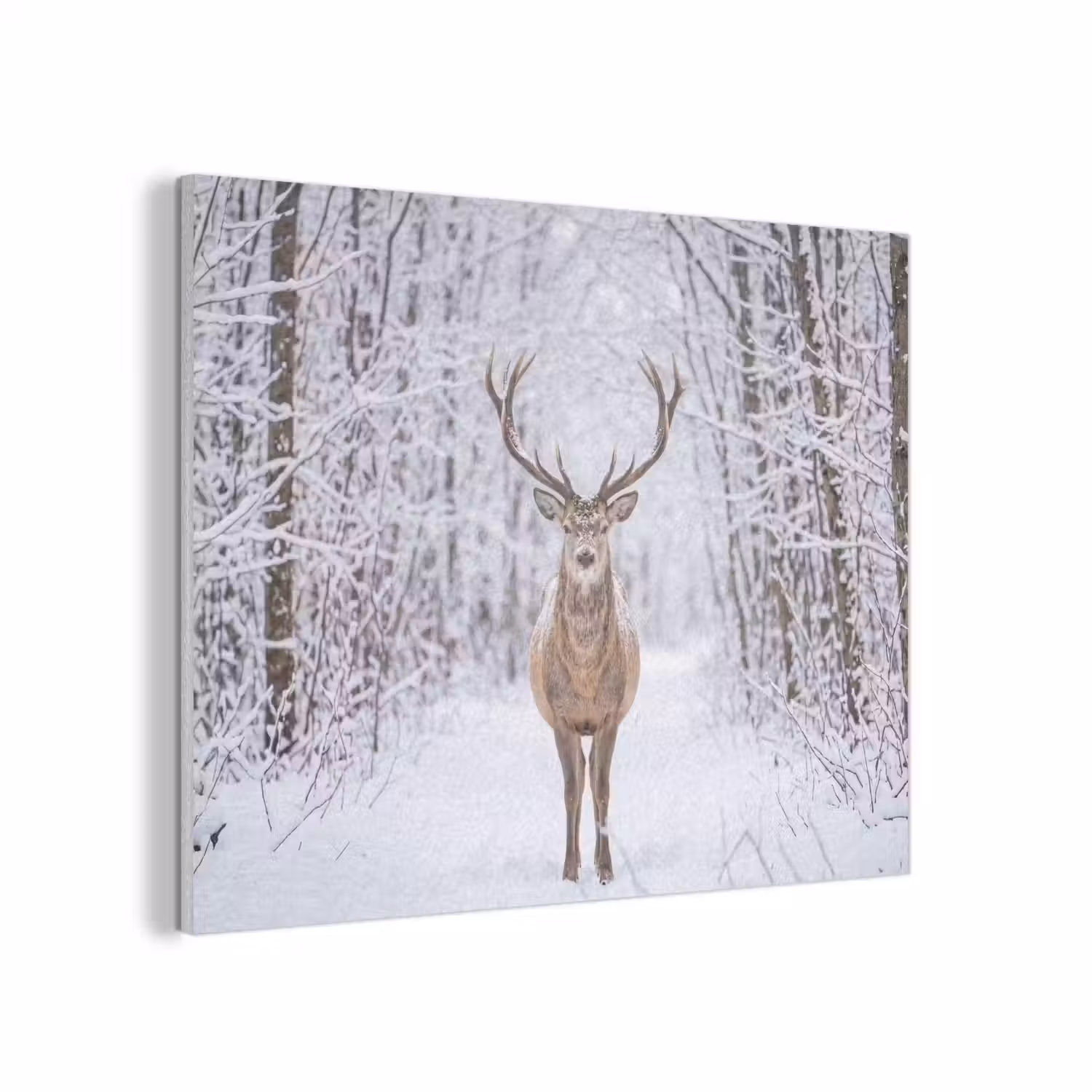 Hert - Winter - Bos - Natuur - Wit PET vilt klein -3d
