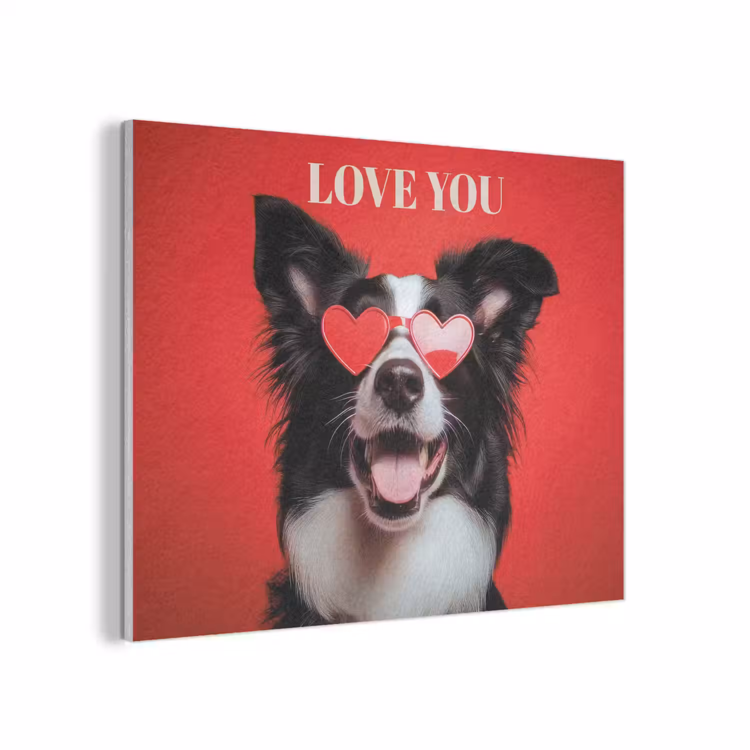 Hond - Hartjesbril - Loveyou - Rood PET vilt klein -3d