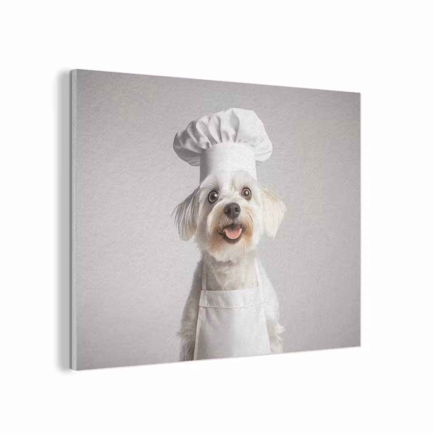 Hond - Wit - Kok PET vilt klein -3d