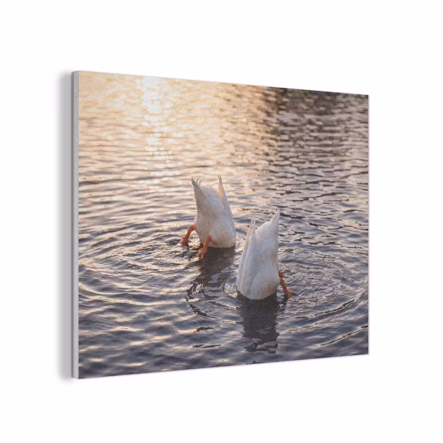 Eenden - Water - Natuur PET vilt klein -3d