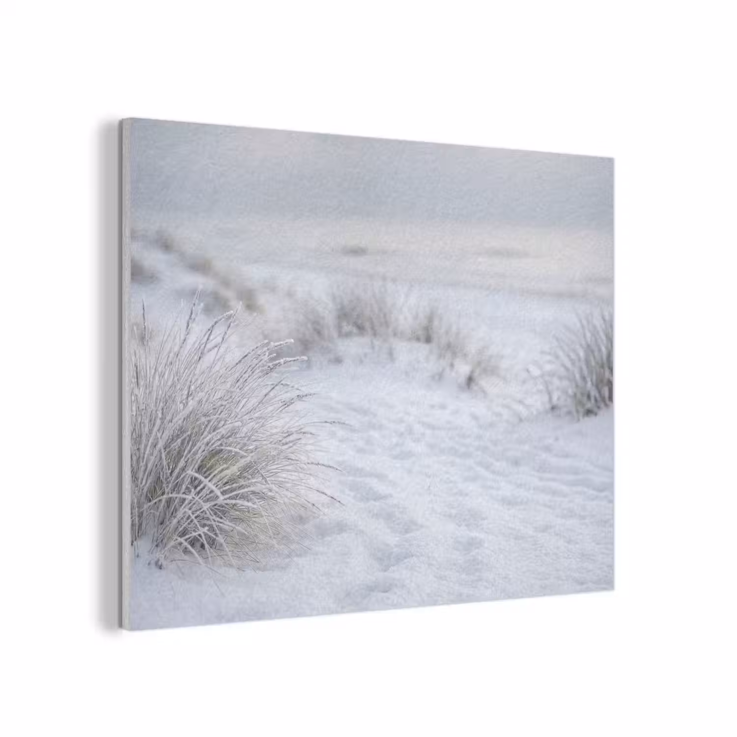 Duinen - Sneeuw - Strand - Winter - Serene PET vilt klein -3d
