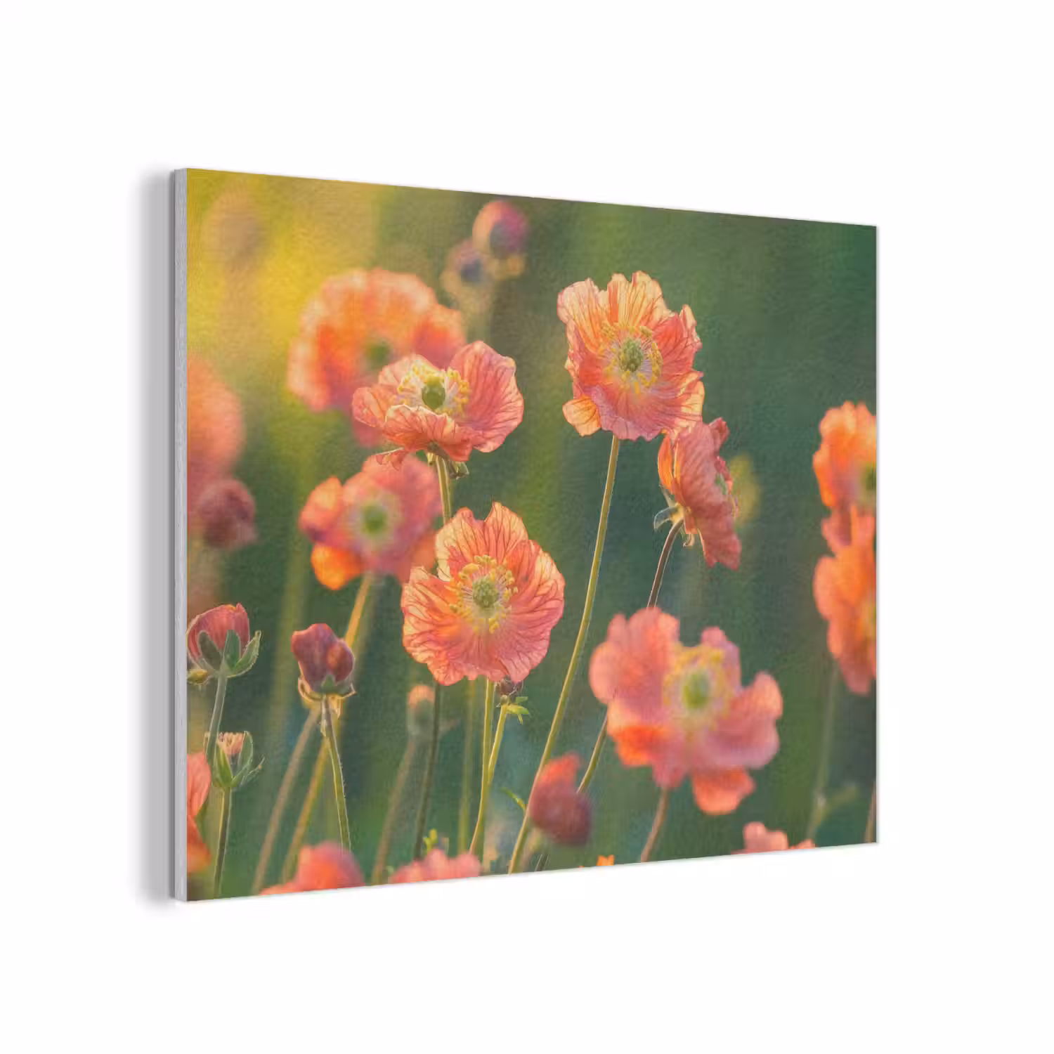 Bloemenveld - Zonnestralen - Oranje PET vilt klein -3d