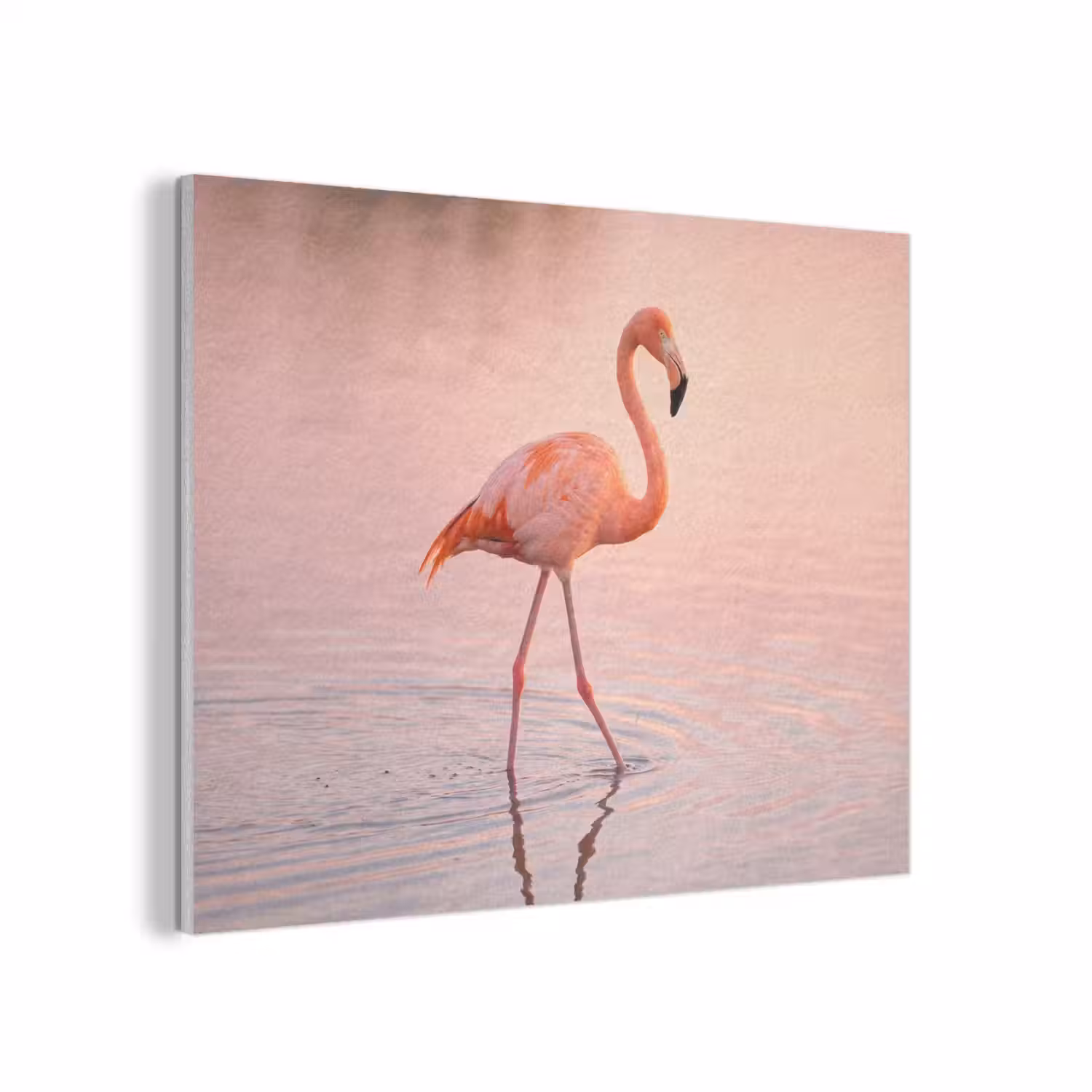 Flamingo - Water - Roze PET vilt klein -3d