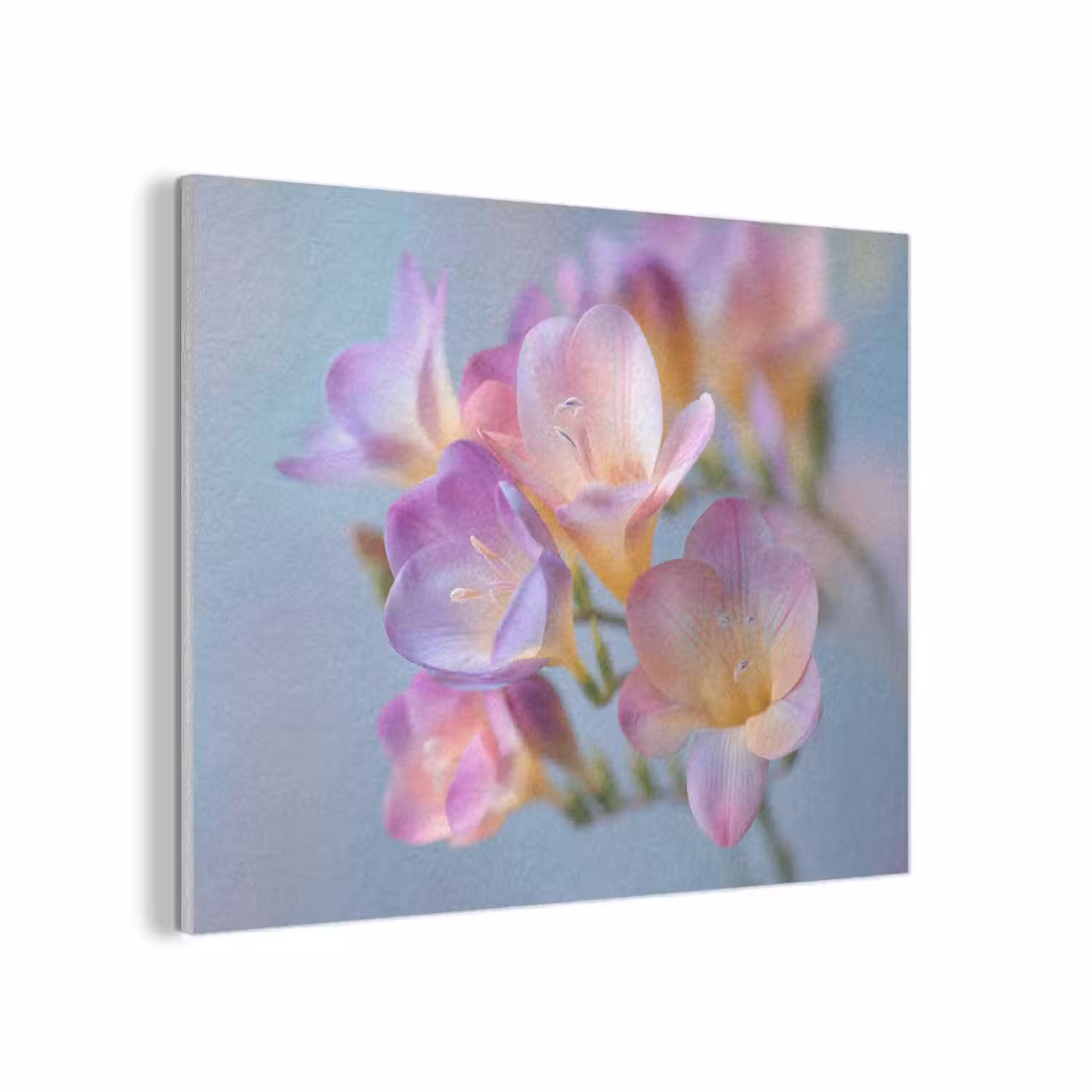 Bloemen - Paars - Overloop - Meeldraden PET vilt klein -3d