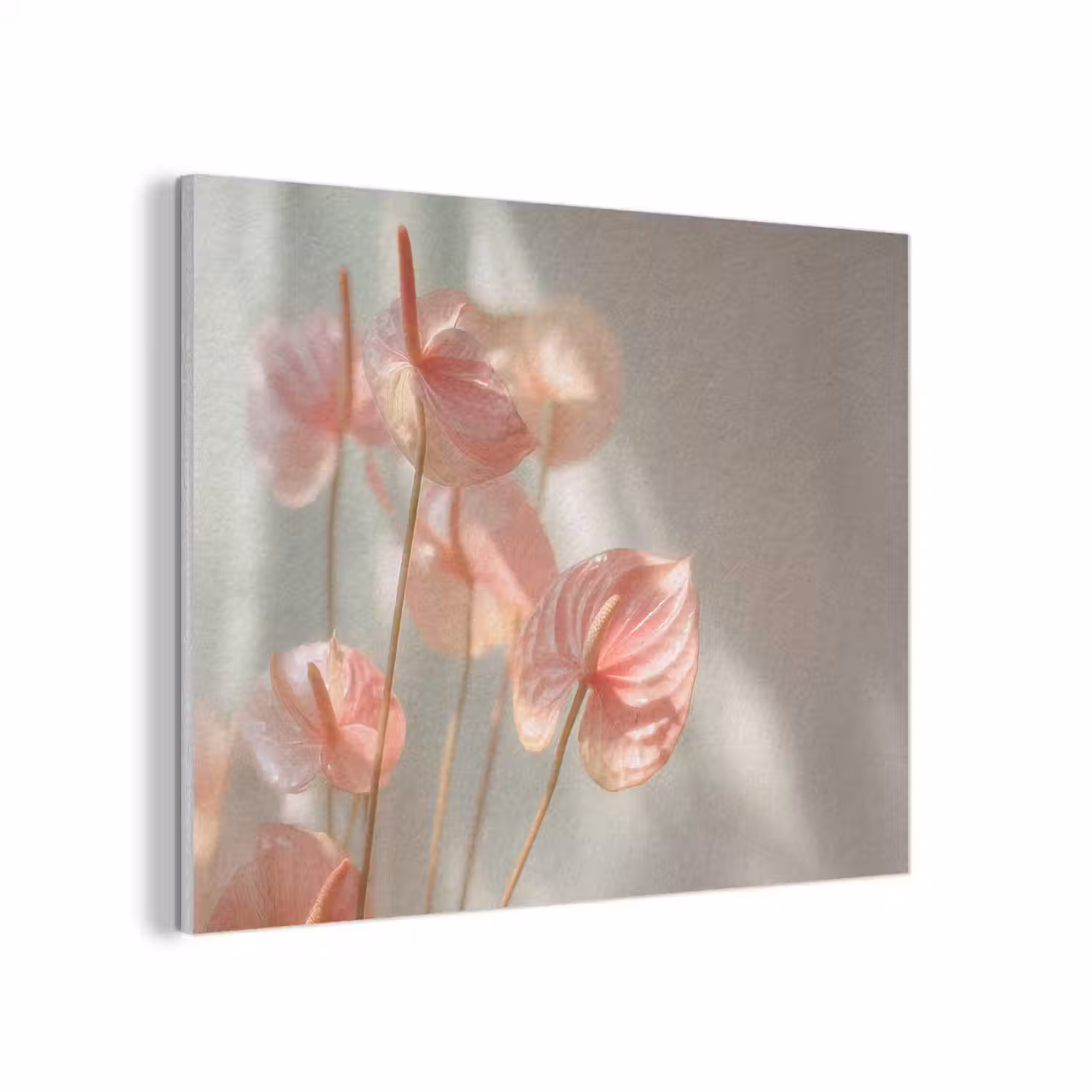 Bloemen - Stelen - Roze - Schaduw PET vilt klein -3d