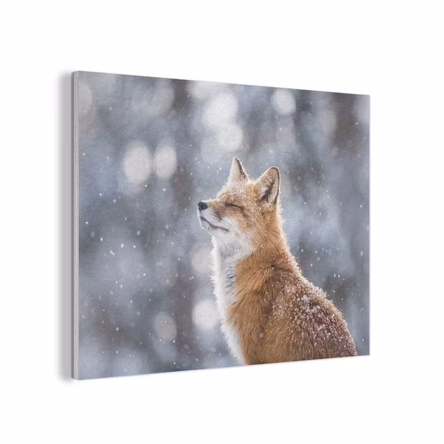 Vos - Sneeuwval - Portret - Winter - Sfeervol PET vilt klein -3d