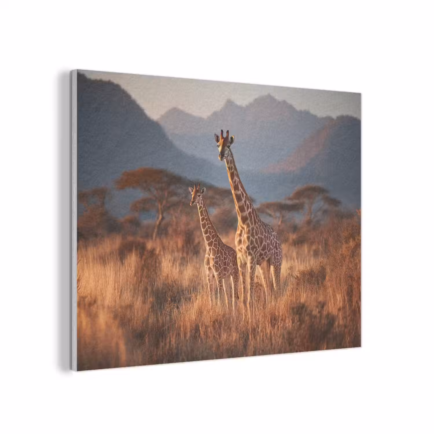 Giraffen - Hoog gras - Acaciabomen PET vilt klein -3d