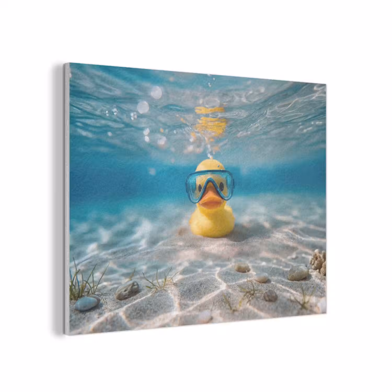 Duikbril - Eend - Water PET vilt klein -3d